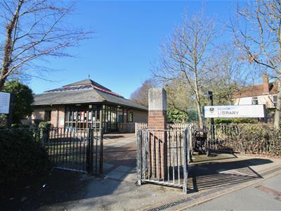 Picture 11